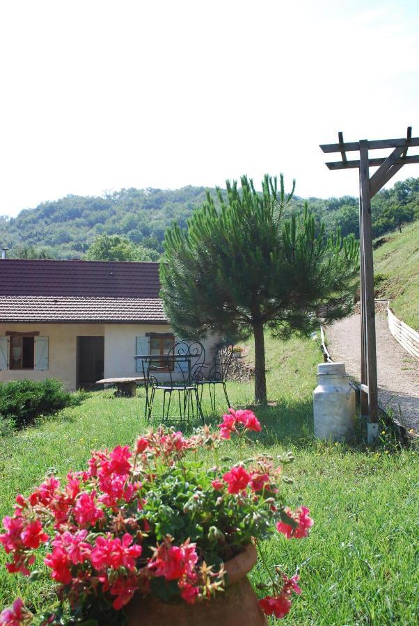 Siccieu-Saint-Julien-et-Carisieu Chambres D'Hotes Soleil Et Cacao المظهر الخارجي الصورة